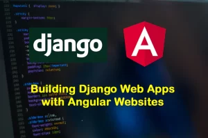 Building Django Web Apps with Angular Websites
