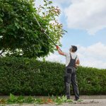 Tree Care Business